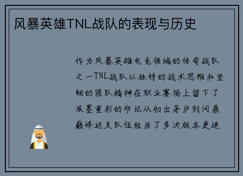 风暴英雄TNL战队的表现与历史