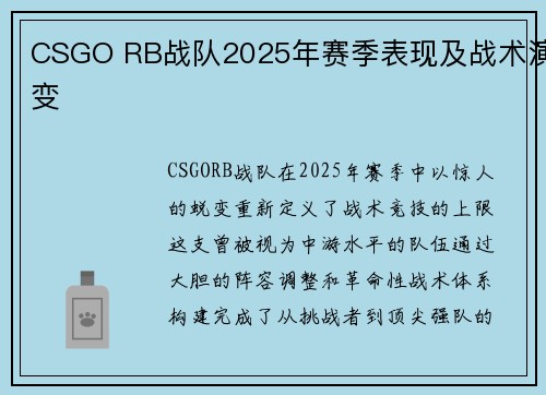 CSGO RB战队2025年赛季表现及战术演变